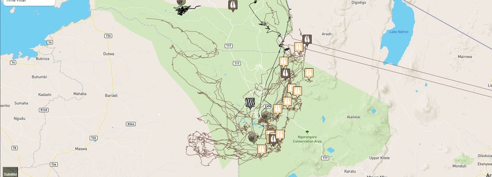 www.serengeti-tracker.org STARS Projekt