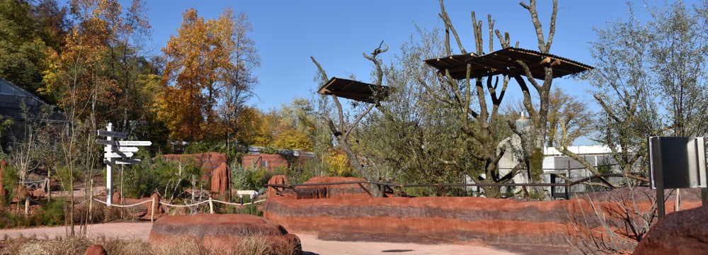 Aussenanlage Australien im Zoo Zürich.