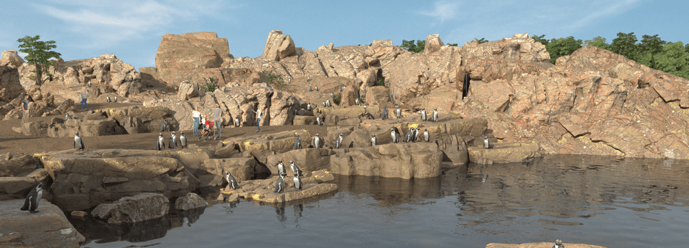 Depiction of the seacoast and penguins at Zoo Zurich