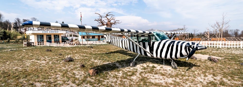 Serengeti-Zebraflugzeug auf dem Lewa Airstrip in der Lewa Savanne im Zoo Zürich.