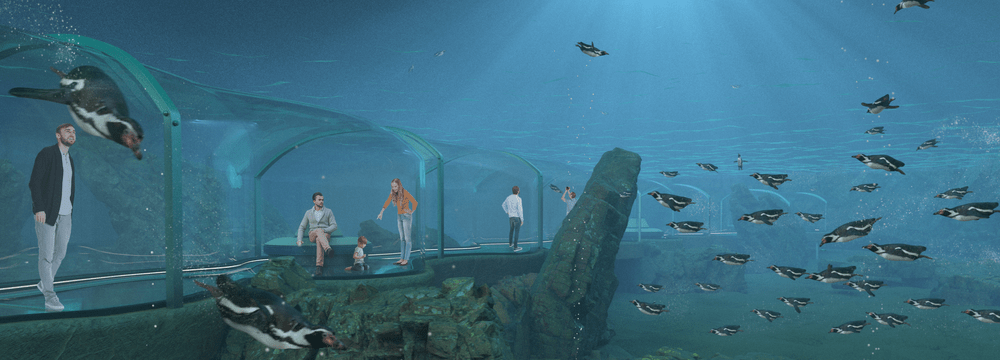 Rendering der Meeresküste Unterwasser im Zoo Zürich