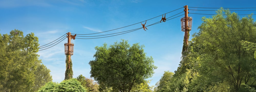 Rendering of the planned orangutan trail at Zoo Zurich.