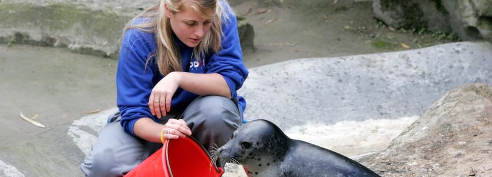 Foto: Zoo Zürich, Enzo Franchini Tierpflegerin im Zoo Zürich