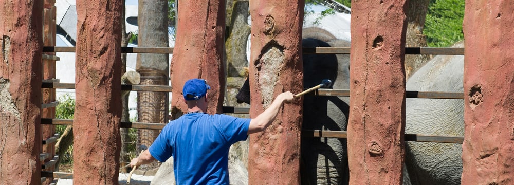 Demonstration Tiertraining im Kaeng Krachan Elefantenpark im Zoo Zürich.