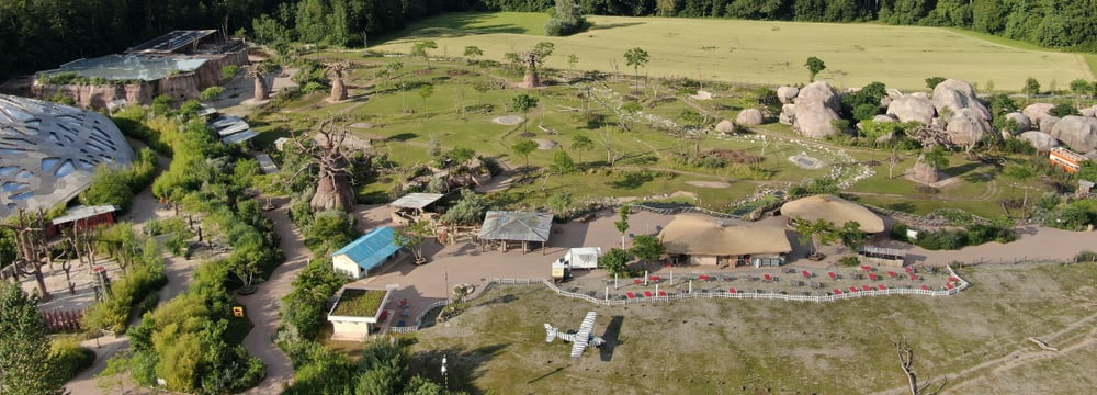 Drohnenaufnahme der Lewa Savanne im Zoo Zürich.