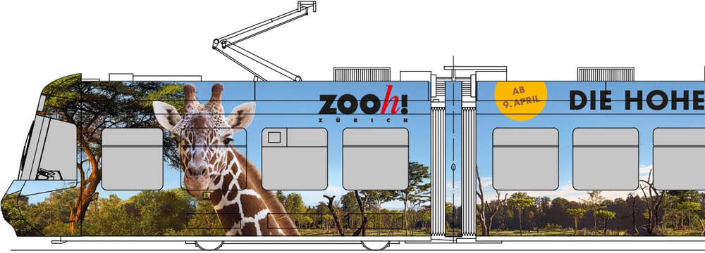 Visualisierung des Zoo-Sondertrams Lewa Savanne.