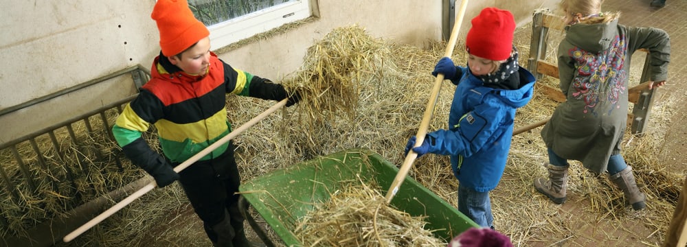 Projektwoche Kinder/Schüler im Zoo Zürich