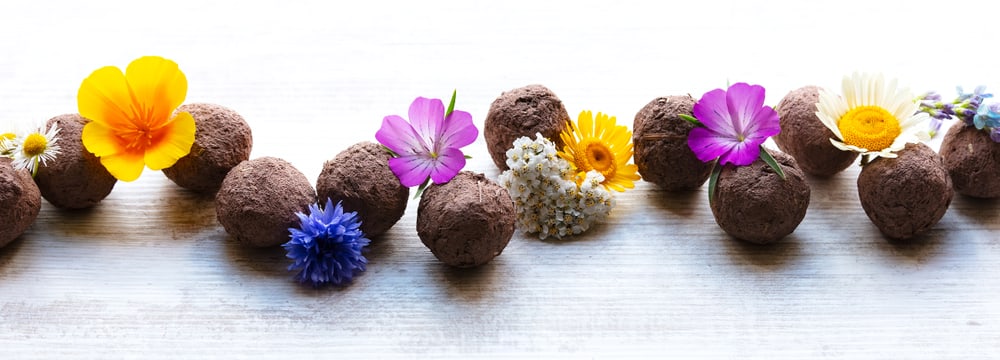 Photo: iStockphoto, miriam-doerr Symbolic image for seed balls.