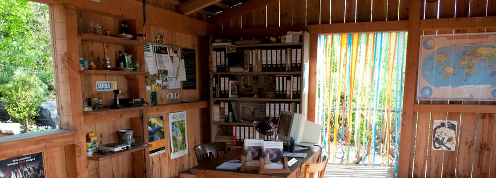 Ausstellung Pantanal