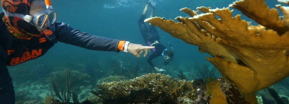 Foto: SWR-ARTE-ARD Bild aus dem Film «Biodiversity or Extinction: Mankind's greatest challenge».