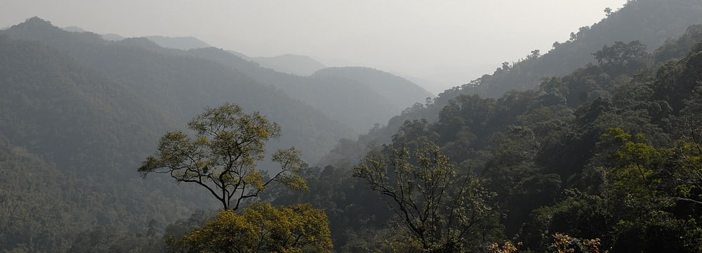 Foto: Zoo Zürich, Martin Bauert Kaeng Krachan Nationalpark in Thailand