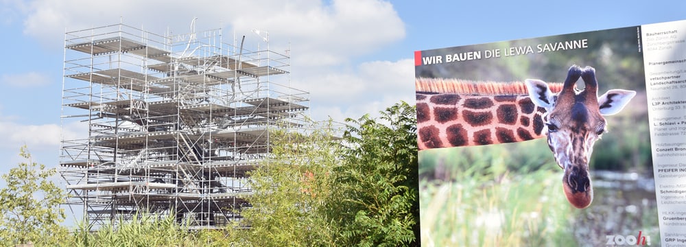 Baustelle Lewa Savanne im Zoo Zürich.