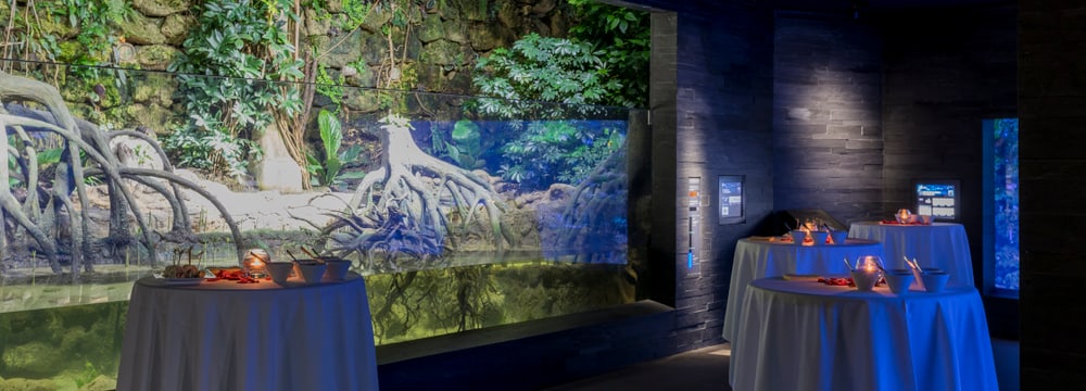 Foto: Zoo Zürich, Enzo Franchini Aquarium im Zoo Zürich