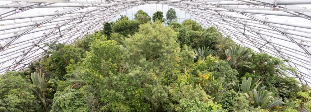 Masoala Regenwald im Zoo Zürich.