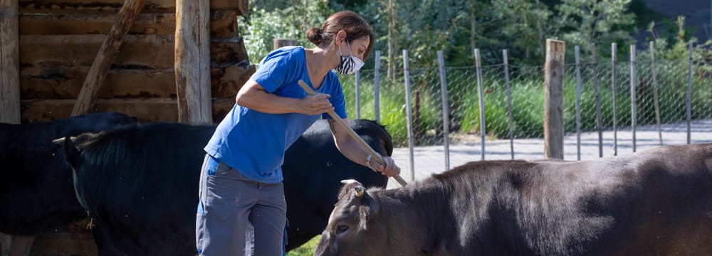 Foto: Zoo Zürich, Enzo Franchini Leadimage Schnupperlehre im Zoo Zürich