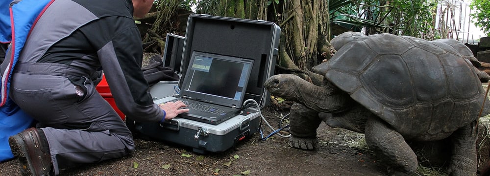 Röntgenuntersuchung des Stimmapparats einer Aldabra-Riesenschildkröte im Masoala Regenwald des Zoo Zürich im Rahmen einer Forschung der Universität Zürich.