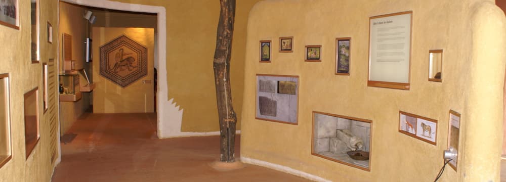 Photo : Zoo de Zurich, Cordula Galeffi Ausstellung Löwenhaus