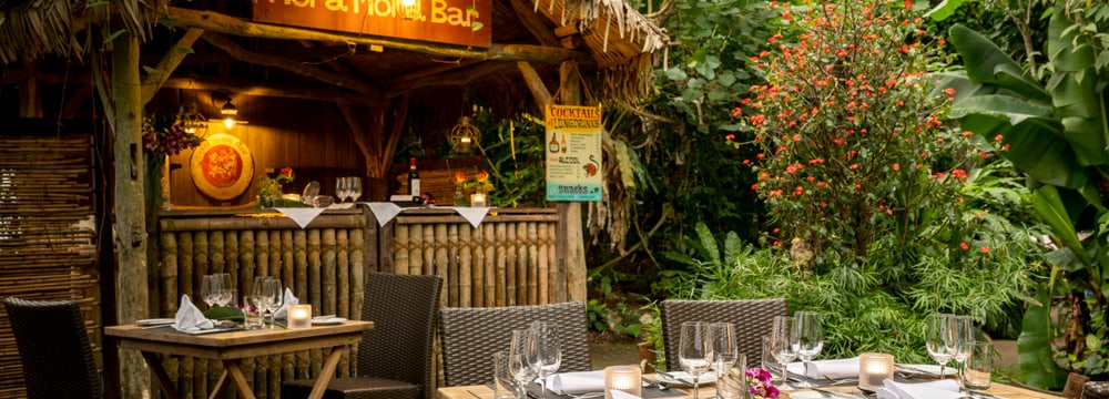 Mora-Mora Bar im Masoala Regenwald des Zoo Zürich.