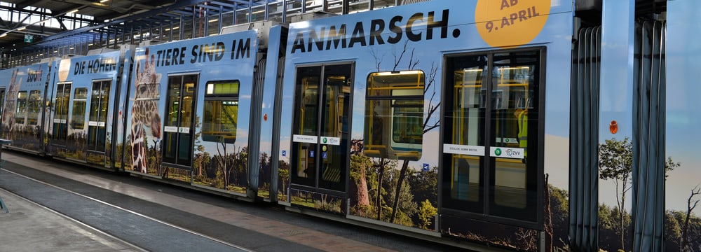 Zoo-Sondertram Lewa Savanne im VBZ-Depot.