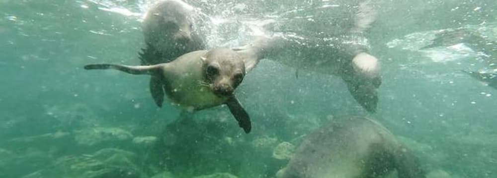 Plastikmüll ist grenzenlos © WDR