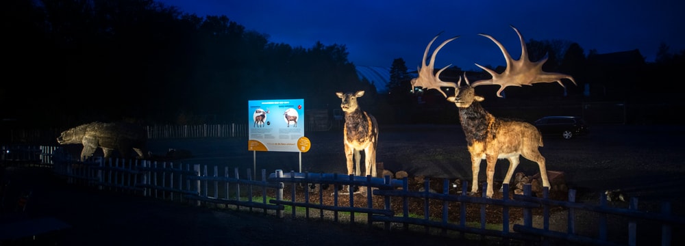 Foto: Zoo Zürich, Nick Soland Riesenhirsche in der Eiszeitausstellung «Kaltgestellt» im Zoo Zürich.