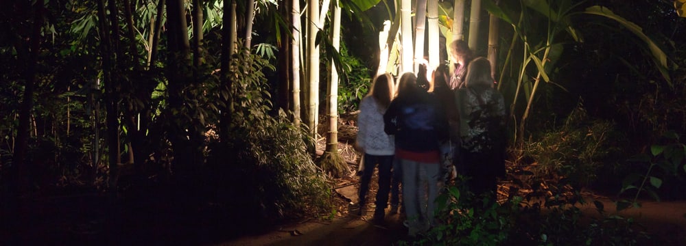 Photo: Zurich Zoo Zoo Experience Night Walk at Zurich Zoo