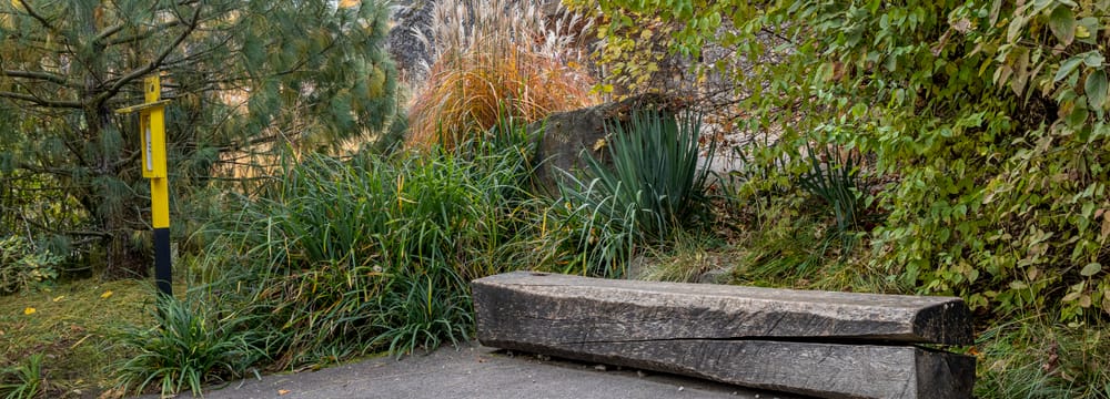 Foto: Zoo Zürich, Enzo Franchini Spendenbank bei der Masoala-Express-Haltestelle Kaeng Krachan Elefantenpark im Zoo Zürich