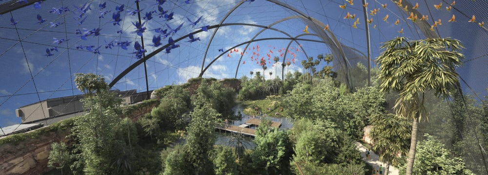 Rendering: Region Five Media Visualisierung der geplanten Pantanal Voliere im Zoo Zürich, Sicht vom Turm.