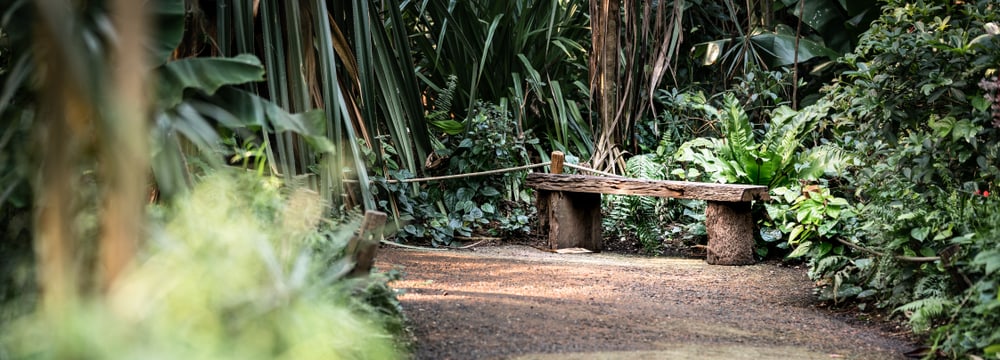 Leere Bank im Masoala Regenwald des Zoo Zürich