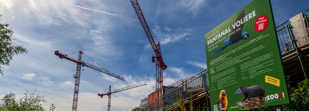 Foto: Zoo Zürich, Fabio Süess Blick auf die Baustelle für die Pantanal Voliere im Zoo Zürich im Oktober 2024.
