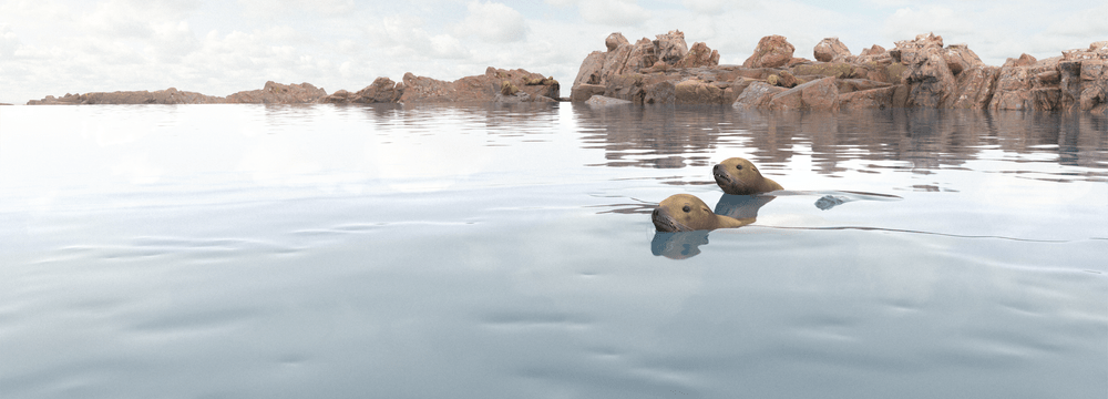 Rendering der Meeresküste Seelöwen im Zoo Zürich