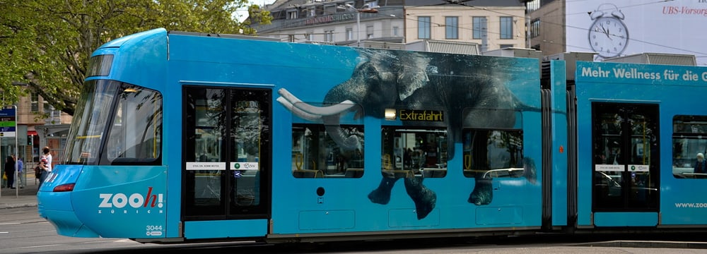 Foto: Zoo Zürich, Edi Day Sondertram Zoo Zürich ZVV