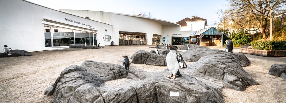 Zoo Zürich im März 2020, für die Besucher aufgrund der Covid-19-Pandemie geschlossen.