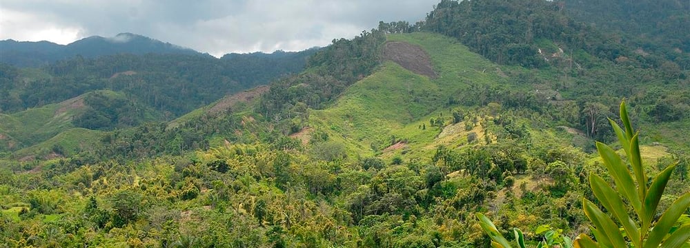 Regenwald in Masoala