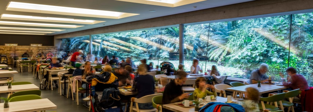 Gastraum des Restaurants Masoala im Zoo Zürich, 2022.
