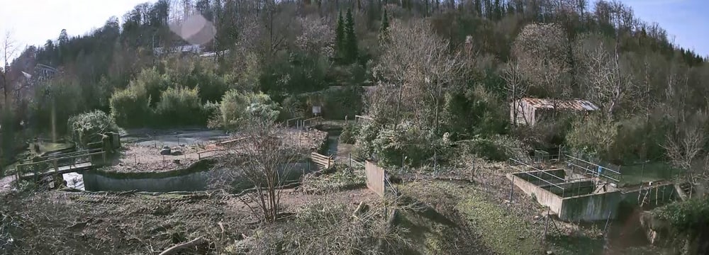 Bild: Zoo Zürich Screenshot der Baustellencam Pantanal Voliere aus dem Zeitraffer-Film vom Juli 2024.