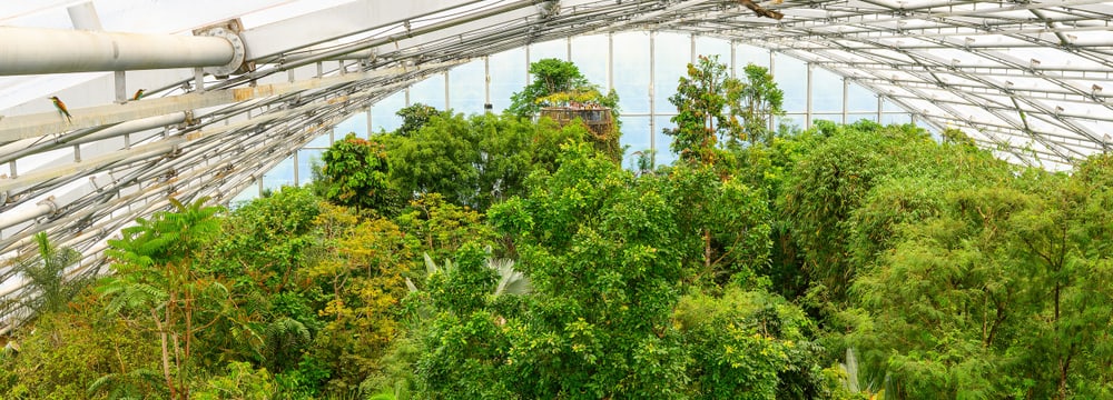 Foto: Zoo Zürich, Fabio Süess Der Masoala Regenwald im Zoo Zürich.