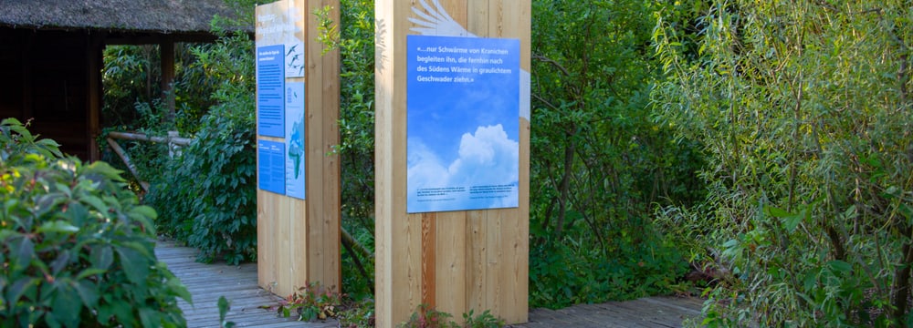 Ausstellung Vogelwiese im Zoo Zürich.