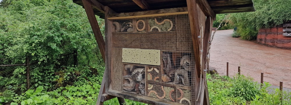 Photo: Zoo Zurich, Sandro Schönbächler Wild bee hotel next to the Australia habitat at Zoo Zurich.