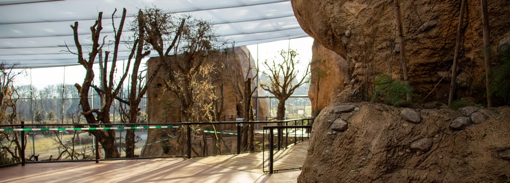 Foto: Zoo Zürich, Rita Schlegel Blick in den oberen Stock des Lewa Giraffenhauses.