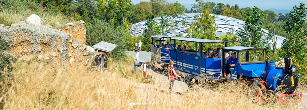 Foto: Zoo Zürich, Stefan Walter Masoala Express im Zoo Zürich