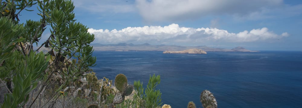 Galapagos Vital Signs