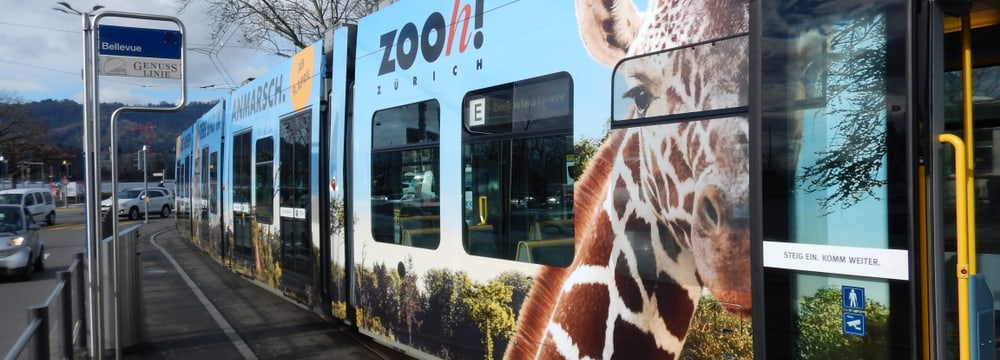 Zoo Tram Lewa