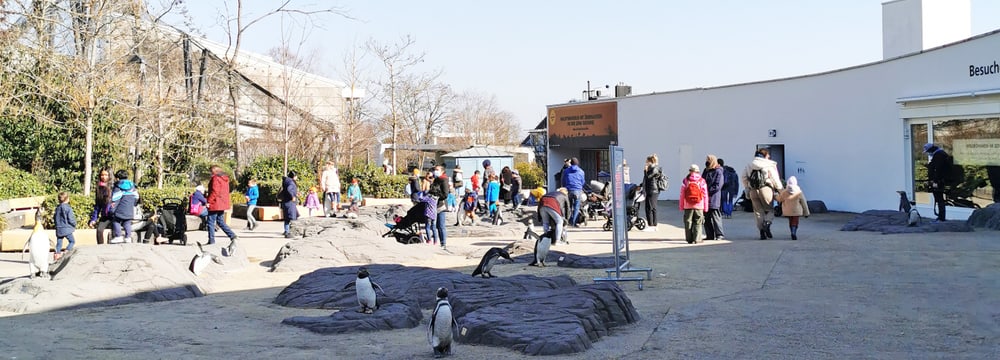 Tag der Zoo-Wiedereröffnung am 1.3.2021.