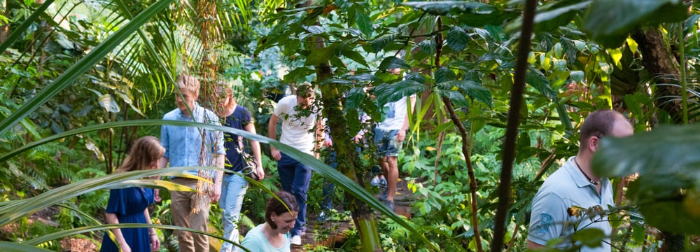 Foto: Zoo Zürich, Corinne Invernizzi Führung im Zoo Zürich
