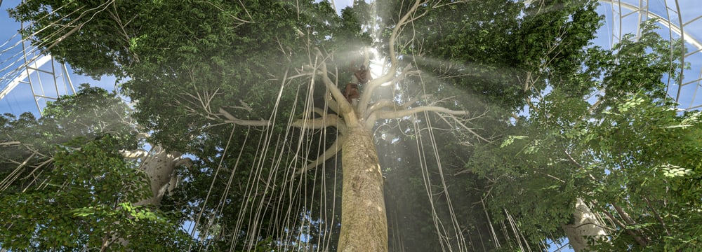 Visualization of the Sumatran rainforest in Development Plan 2050 of Zoo Zurich.