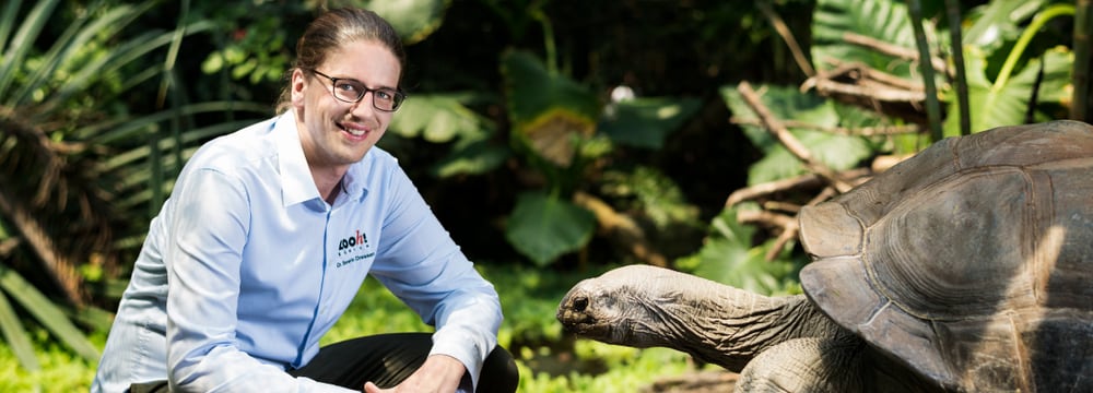 Foto: Zoo Zürich, Goran Basic Dr. Severin Dressen mit Aldabra-Riesenschildkröte im Masoala Regenwald.