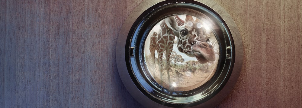 Leadimage Spendenseite Lewa
