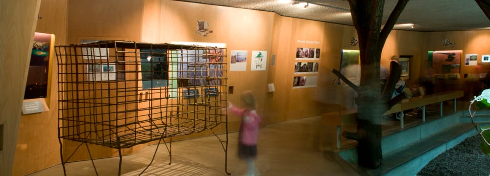 Ausstellung Shopping für den Regenwald bei den Menschenaffen