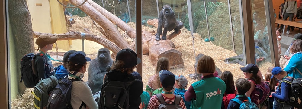 Foto: Zoo Zürich, Florian Meury KInder-Zoonachmittag des Freiwilligenteams FTZ im Zoo Zürich.